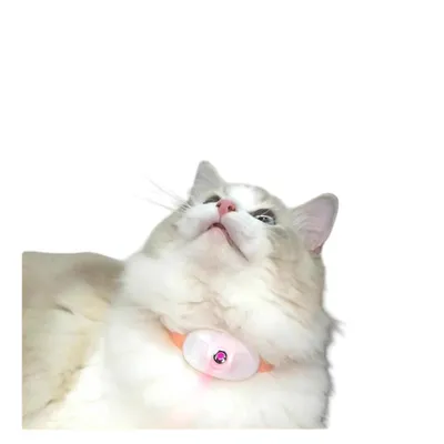 ZenPets Collier laser pour chat