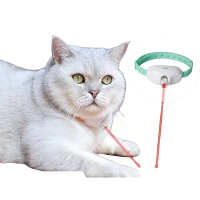 ZenPets Collier laser pour chat