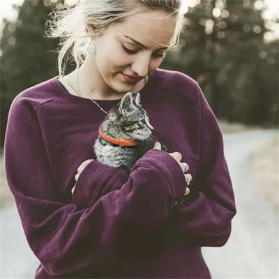 IntiMeg Collier apaisant pour chats