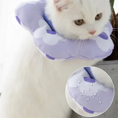 Collier anti-léchage pour chats IntiMeg