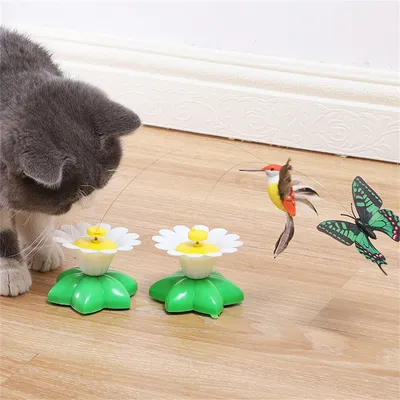 IntiMeg - Jouet volant pour chat