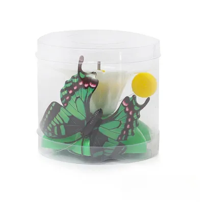 IntiMeg - Jouet volant pour chat