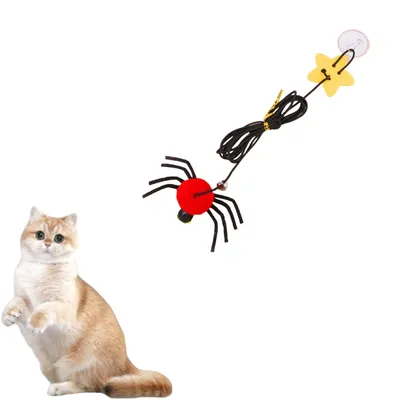 ZenPets Jouet araignée suspendu pour chat ZenPets Jouet araignée suspendu pour chat