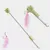 ZenPets Baton à chat auto - extensible LED avec laser