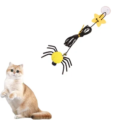 ZenPets Jouet araignée suspendu pour chat ZenPets Jouet araignée suspendu pour chat