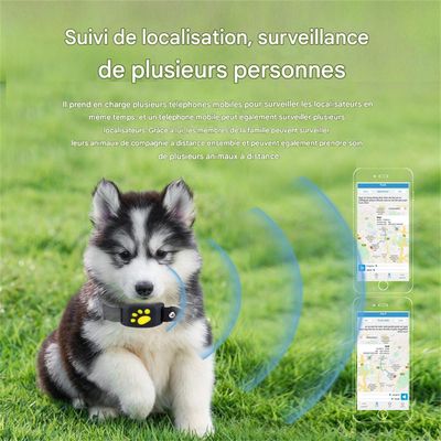 IntiMeg Localisateur GPS pour animaux de compagnie