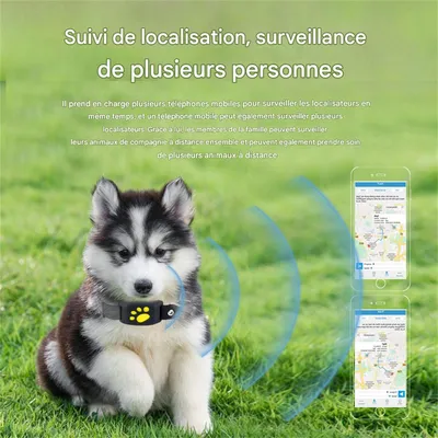 IntiMeg Localisateur GPS pour animaux de compagnie