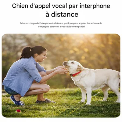 IntiMeg Localisateur GPS pour animaux de compagnie