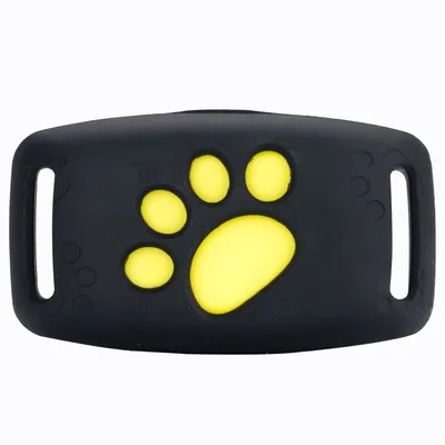 IntiMeg Localisateur GPS pour animaux de compagnie