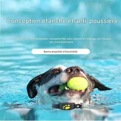 IntiMeg Localisateur GPS pour animaux de compagnie
