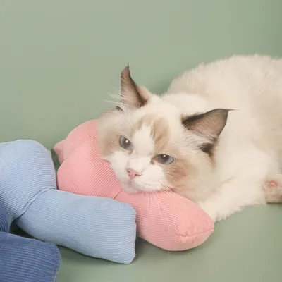 ZenPets Jouet pour chat en forme de bonbon