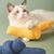 ZenPets Jouet pour chat en forme de bonbon