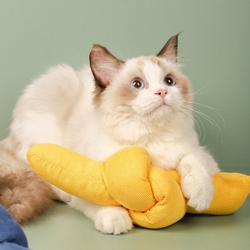 ZenPets Jouet pour chat en forme de bonbon