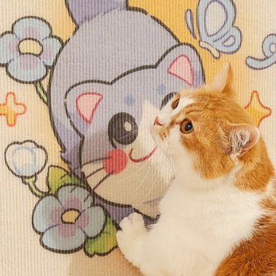 ZenPets Griffoirs pour chats découpables