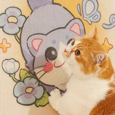 ZenPets Griffoirs pour chats découpables