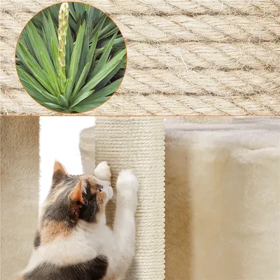 Yaheetech Petit Arbre à Chat Multiniveau
