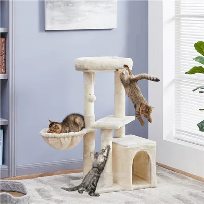 Petit Arbre à Chat Multiniveau Avec Poteaux Griffoir, Cordes Sisal