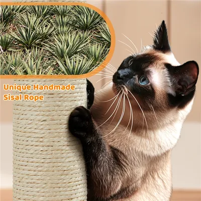 Yaheetech Petit Arbre à Chat