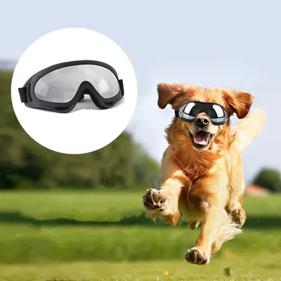 IntiMeg Lunettes de soleil pour chien