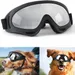 IntiMeg Lunettes de soleil pour chien