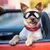 IntiMeg Lunettes de soleil pour chien IntiMeg Lunettes de soleil pour chien