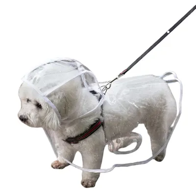 ZenPets Imperméable pour chien transparent