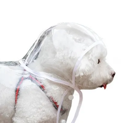 ZenPets Imperméable pour chien transparent
