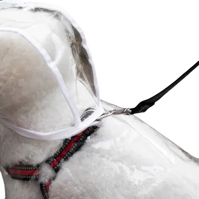 ZenPets Imperméable pour chien transparent