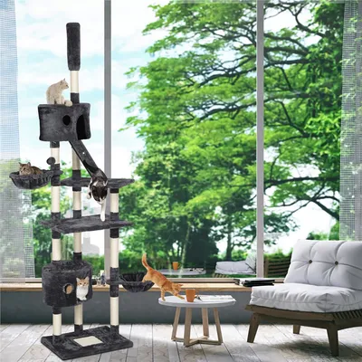 Yaheetech Arbre à Chat XXL pour 2-3 Chats  Adultes