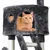 Yaheetech Arbre à Chat XXL pour 2-3 Chats  Adultes