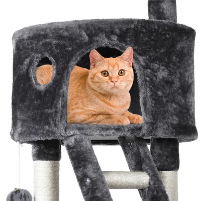 Yaheetech Arbre à Chat XXL pour 2-3 Chats  Adultes