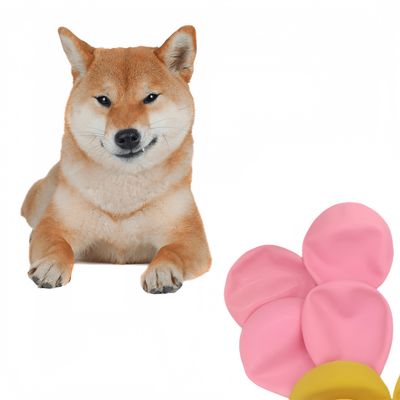 ZenPets Protecteurs de griffes en caoutchouc