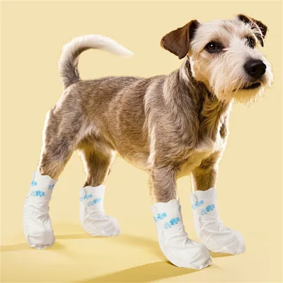 ZenPets Bas de protection pour pattes de compagnie