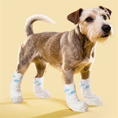 ZenPets Bas de protection pour pattes de compagnie