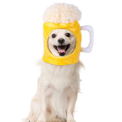 ZenPets Chapeau pour chien en forme de bière
