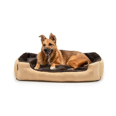 lionto weiches Hundebett mit niedrigem Einstieg und Wendekissen