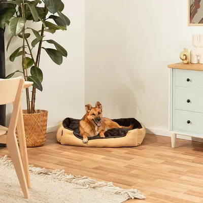 lionto coussin chien doux avec entrée basse et coussin réversible