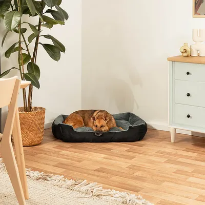 lionto coussin chien doux avec entrée basse et coussin réversible