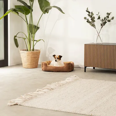 lionto coussin chien doux avec entrée basse et coussin réversible lionto coussin chien doux avec entrée basse et coussin réversible