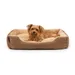 lionto weiches Hundebett mit niedrigem Einstieg und Wendekissen
