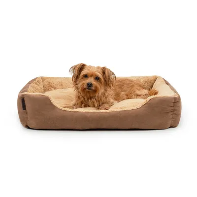 lionto coussin chien doux avec entrée basse et coussin réversible