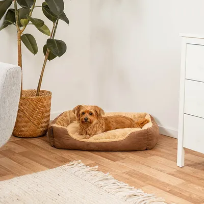 lionto coussin chien doux avec entrée basse et coussin réversible lionto coussin chien doux avec entrée basse et coussin réversible