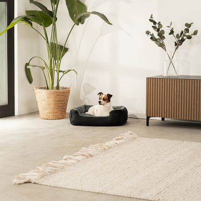 lionto weiches Hundebett mit niedrigem Einstieg und Wendekissen