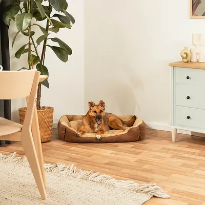 lionto coussin chien doux avec entrée basse et coussin réversible lionto coussin chien doux avec entrée basse et coussin réversible