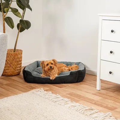 lionto coussin chien doux avec entrée basse et coussin réversible lionto coussin chien doux avec entrée basse et coussin réversible