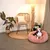 lionto Donut-Hundebett aus weichem Plüsch mit rutschfester Unterseite lionto Donut-Hundebett aus weichem Plüsch mit rutschfester Unterseite