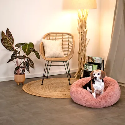 lionto Donut-Hundebett aus weichem Plüsch mit rutschfester Unterseite lionto Donut-Hundebett aus weichem Plüsch mit rutschfester Unterseite