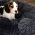lionto Donut-Hundebett aus weichem Plüsch mit rutschfester Unterseite