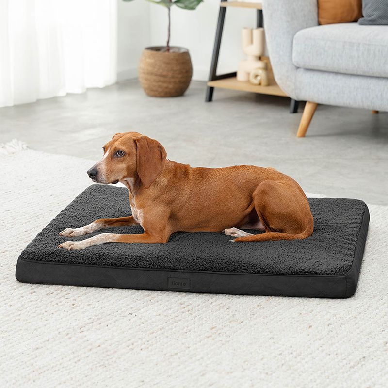 lionto lit orthopédique pour chien avec coussin lavable doux