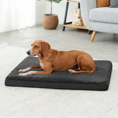 lionto lit orthopédique pour chien avec coussin lavable doux lionto lit orthopédique pour chien avec coussin lavable doux